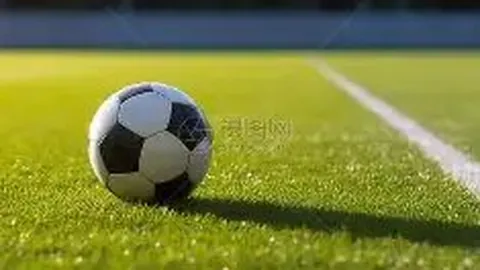 梁靖崑战胜张本智和，晋级男单半决赛